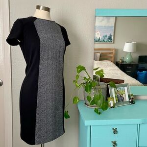 Michael Kors Black & Gray Color Block Flattering Sheath Dress 6 Business Career